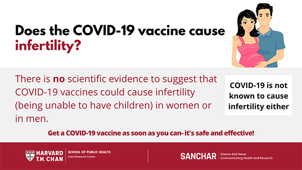Infographic: does the COVID-19 vaccine cause infertility?